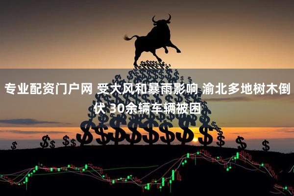 专业配资门户网 受大风和暴雨影响 渝北多地树木倒伏 30余辆车辆被困